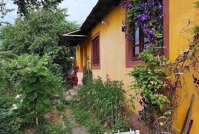 Casă cu 3 camere cu Teren 6100 Mp în Constantinești - 2