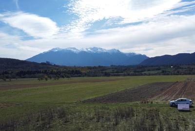 TEREN INTRAVILAN ZONA PENNY - 5