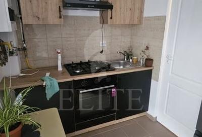 Apartament 2 camere în zona CAMPUL PAINII - 10