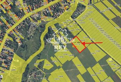 Teren de 7700 mp, în Central - 4