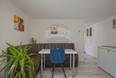 Casa / Vila Saseasca cu 6 camere de vanzare in Vulcan, Brasov - 10