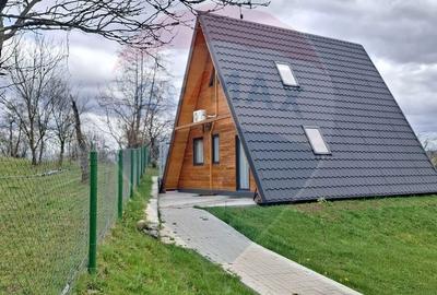 Casă cu 3 camere cu Teren 1256 Mp în Bârsana - 4