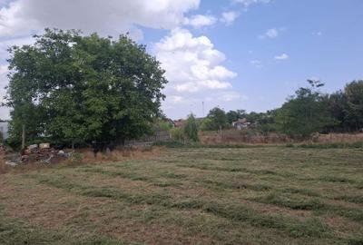 Spațiu comercial, în Cuza Vodă - 3