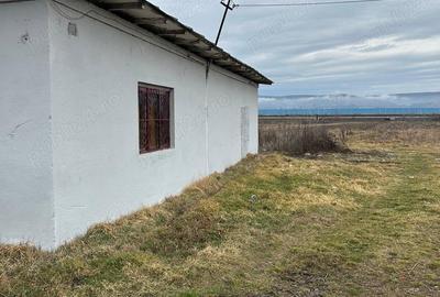 Spațiu comercial, de 200 mp, în Dobrogostea - 3