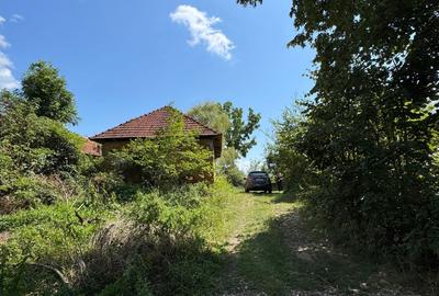 Spațiu comercial, în Vârfurile - 1