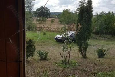 Casa cu teren 5000 m2 domeniu ranch - 6