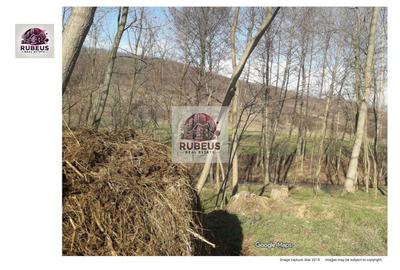 Teren extravilan de 10000 mp, în Cocorova - 5