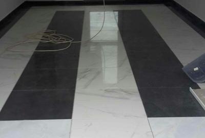 Vand doua case in Contesti - Teleorman - 6