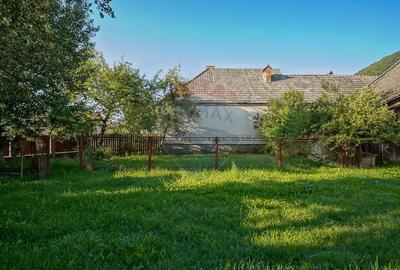 Liniste, aer curat si pamant bun - 7255 mp in Vama Buzaului - 5