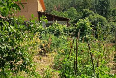 Casă cu 4 camere în Nehoiu - 2