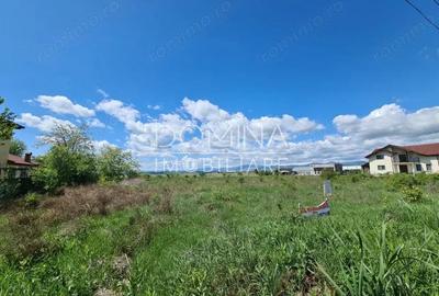 Vanzare loturi teren intravilan, situate in cartier Preajba, str. Frasinetului - 3