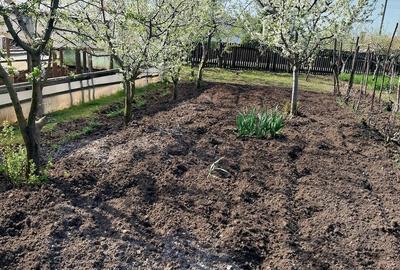 Casă cu 6 camere cu Teren 2000 Mp în Pietrele - 9