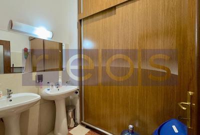 SPATIU COMERCIAL | VICTORIEI | CISMIGIU - 14