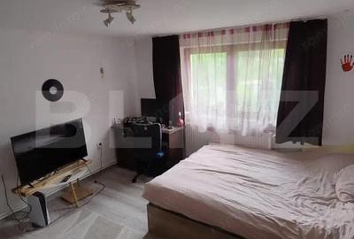 Casa in Teaca cu 4 camere si 10 ari de teren - 13