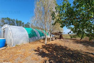 Spațiu comercial, în Agigea