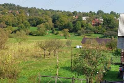 Casă cu 6 camere în Băiuț - 5