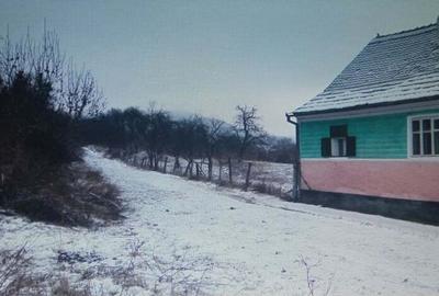 Casa veche saseasca cu curte si gradina - 1