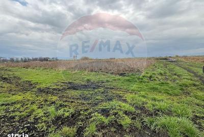 Teren de 45000 mp, în Hărman - 2