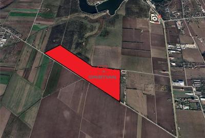 Teren Tancabesti - DN1, Ilfov - 1