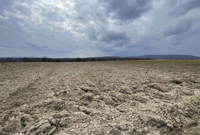 Teren agricol extravilan de 2300 mp, în Horodnic de Sus - 3