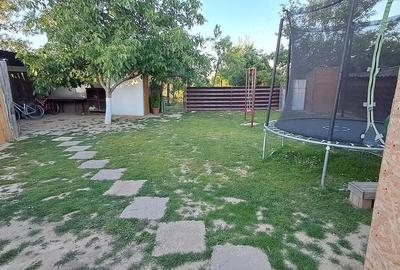 Casă cu Teren 1439 Mp în Banloc - 3