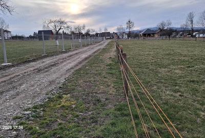 Teren de 600 mp, în Ocna Șugatag - 4