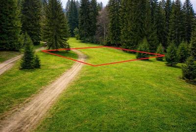 Teren Construcții intravilan de 1000 mp, în Poiana Brașov - 3