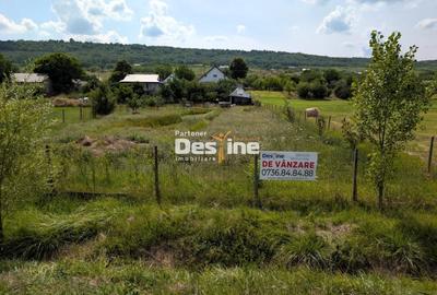 Ocazie - Casa individuala D+P+M 170 mp + 2400 mp teren cu IAZ la asfalt, Osoi - 2
