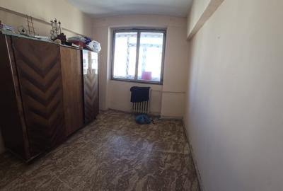 Teiul Doamnei - Parcul Tei Teiul Doamnei - Parcul Tei - 3