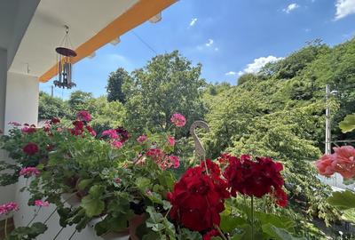 VAND O VILA IN PADUREA DIN FILIPESTI - 13