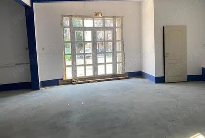 Spațiu comercial, de 720 mp, în Pantelimon