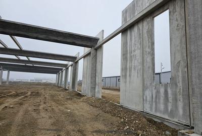 Vanzare hale/depozite/productie -industrial-Chitila - Rudeni, ILFOV - 12