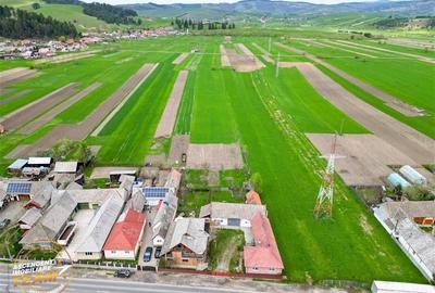 Ansamblu:doua case+anexe+domeniu de 10.101mp, Intorsura Buzaului,Covasna: FILM& - 1