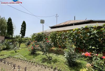 Casa de Tudor Vladimirescu Tulcea - 12