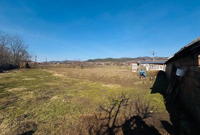 Casă cu 3 camere în Panticeu - 4