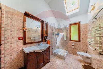 Vila cu 6 camere de vanzare - 13