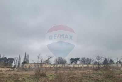 Teren Intravilan 18,546mp in Tunarii Vechi - 9