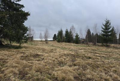 Spațiu comercial, în Ortoaia - 4