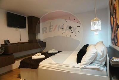 Garsoniera Calea Buziasului - 7