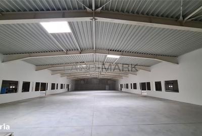 Spațiu comercial, de 4,800 mp, în Dumbrăvița - 5