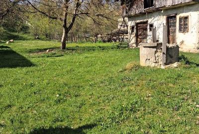 Spațiu comercial, în Drăghici - 5