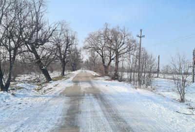 Teren intravilan 12.280mp Balotești – DN1 Value Center - 4