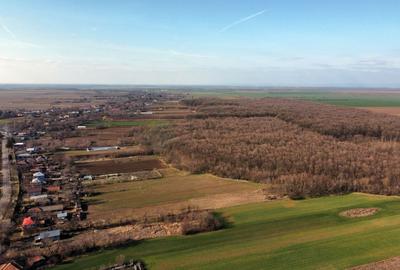 Ferma si livada de meri in judetul Ilfov - 16