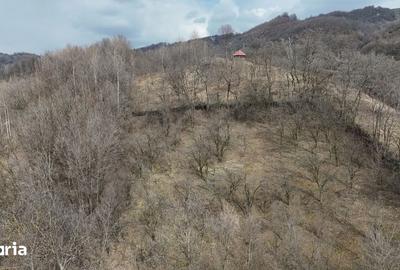 Teren de 3485 mp, în Cerașu - 4