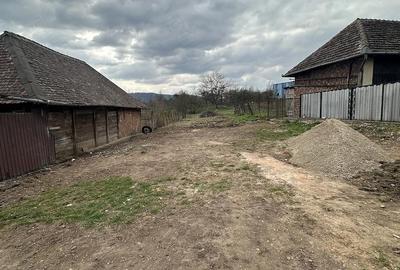 Casă cu 3 camere cu Teren 10000 Mp în Central - 3