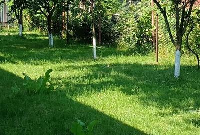 Casă cu 4 camere în Coman - 2