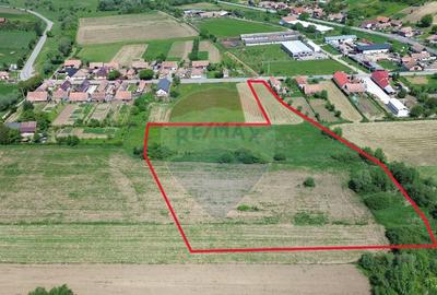 Teren de vanzare Blajel, jud. Sibiu | 15.360 mp - p... - 17