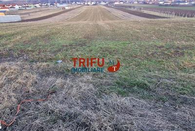 Teren de 1453 mp, în Bărăbanț