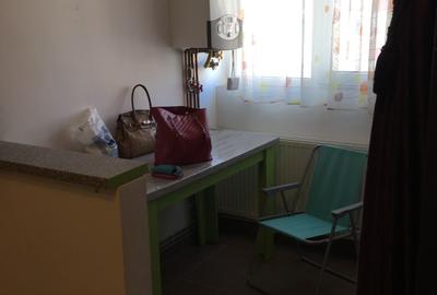 Garsonieră semidecomandată în Noua - 2