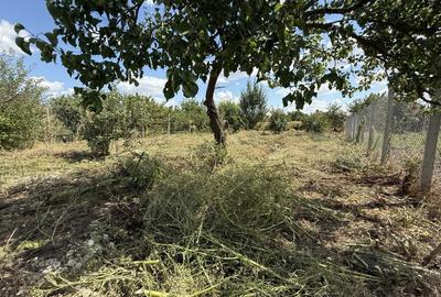 Casa individuala 2 camere, 80mp utili, 997 teren in Utvin - 20